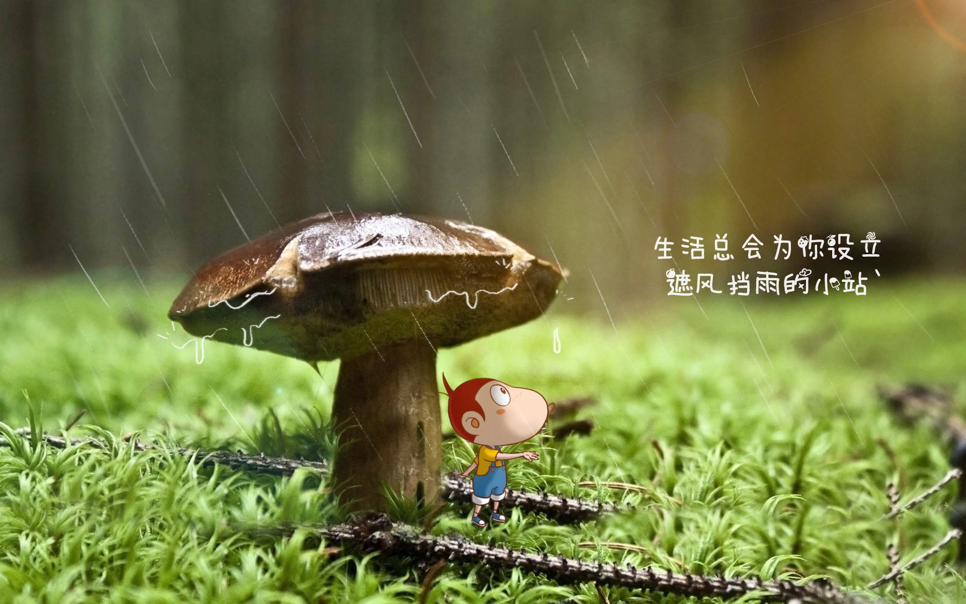 新王登基！阿尔卡拉斯联合杯夺冠改写历史，职业网球格局面临重塑
