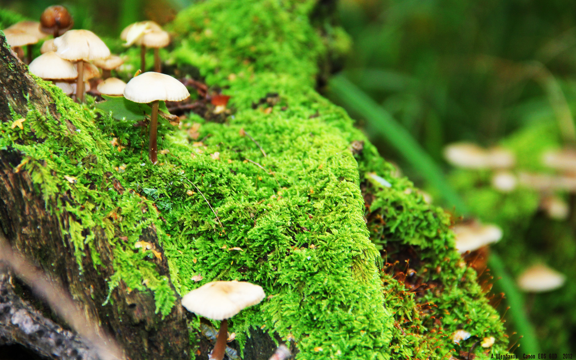 足球世界的革命，当奥亚尔萨瓦尔用攻防统治力冲垮巴塞罗那