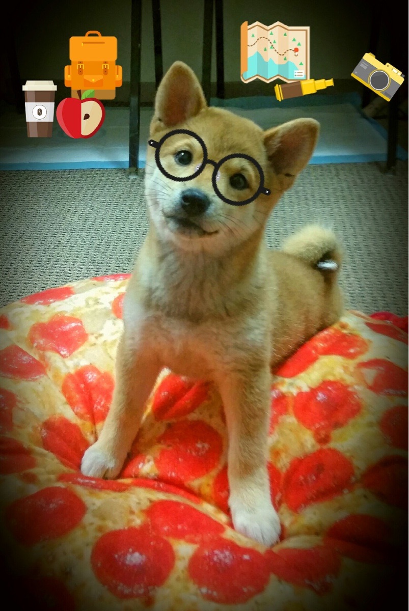 唯一之夜，伊萨克个人能力在F1年度争冠之夜的完全绽放