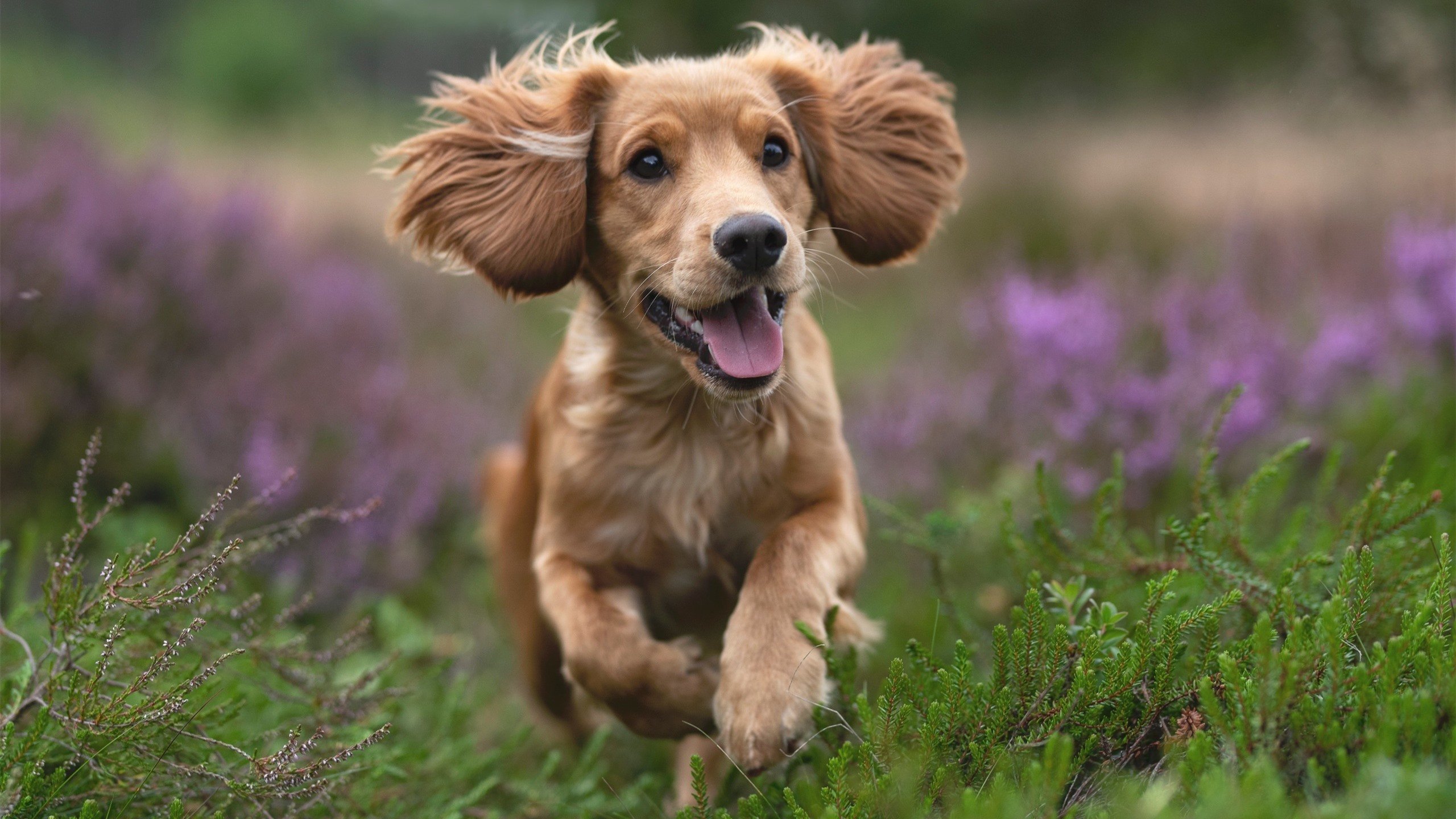 指挥官与风暴,恩比德如何以慢制快,在雷霆掘金之役中雕刻时间