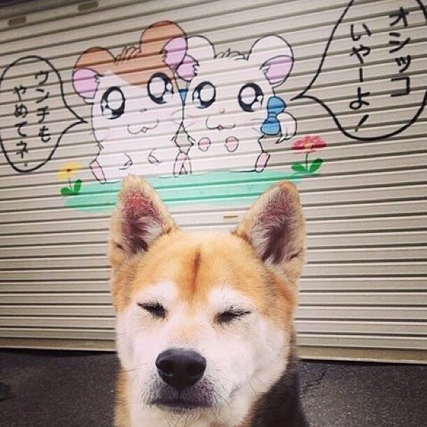 战火淬炼的硬仗之王,马克西在抢七之夜加冕