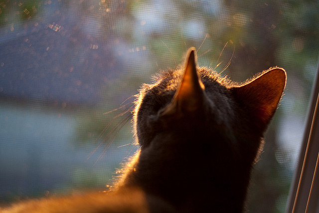 数据风暴眼中的单核统治者，苏格兰对阵巴拉圭复盘