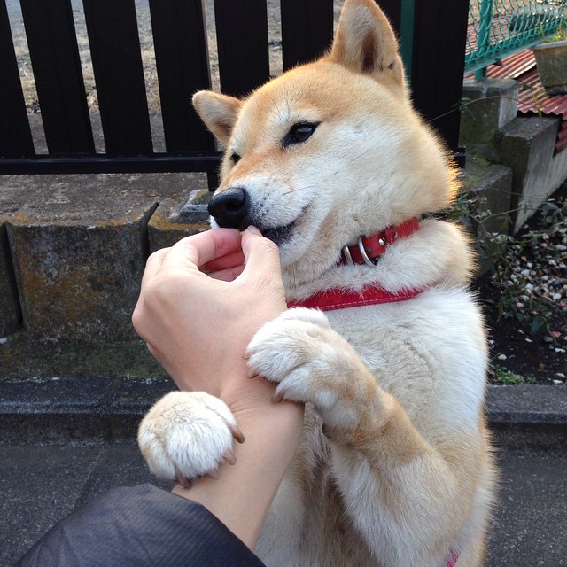 中场节拍器与战术洪流,法比尼奥存在感拉满,里昂冲垮希腊防线