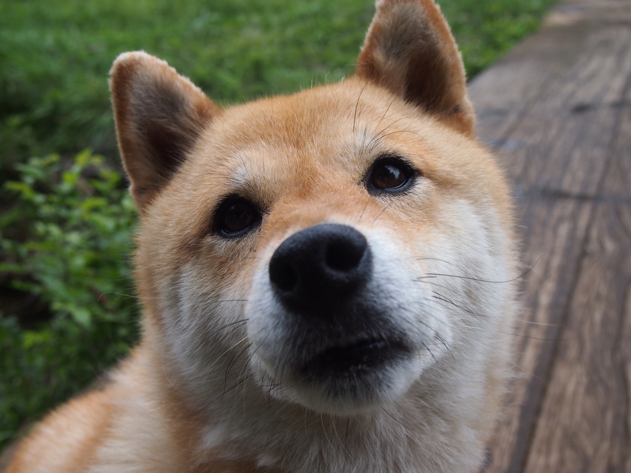 金粉入刃,那个唯一决定乾坤的皮克回合