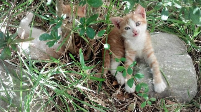 鏖战三晋，惊雷定乾坤—记切特封神之夜