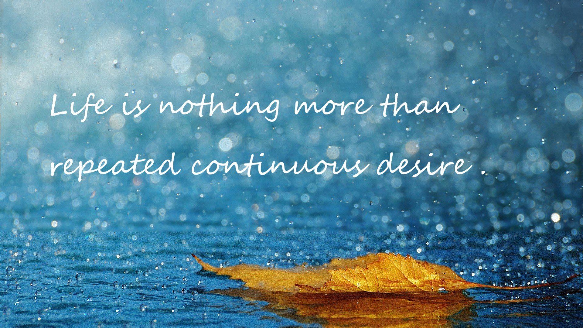 狂飙38分+生死搏杀！米切尔撕碎辽宁防线，黄蜂险胜夺赛点