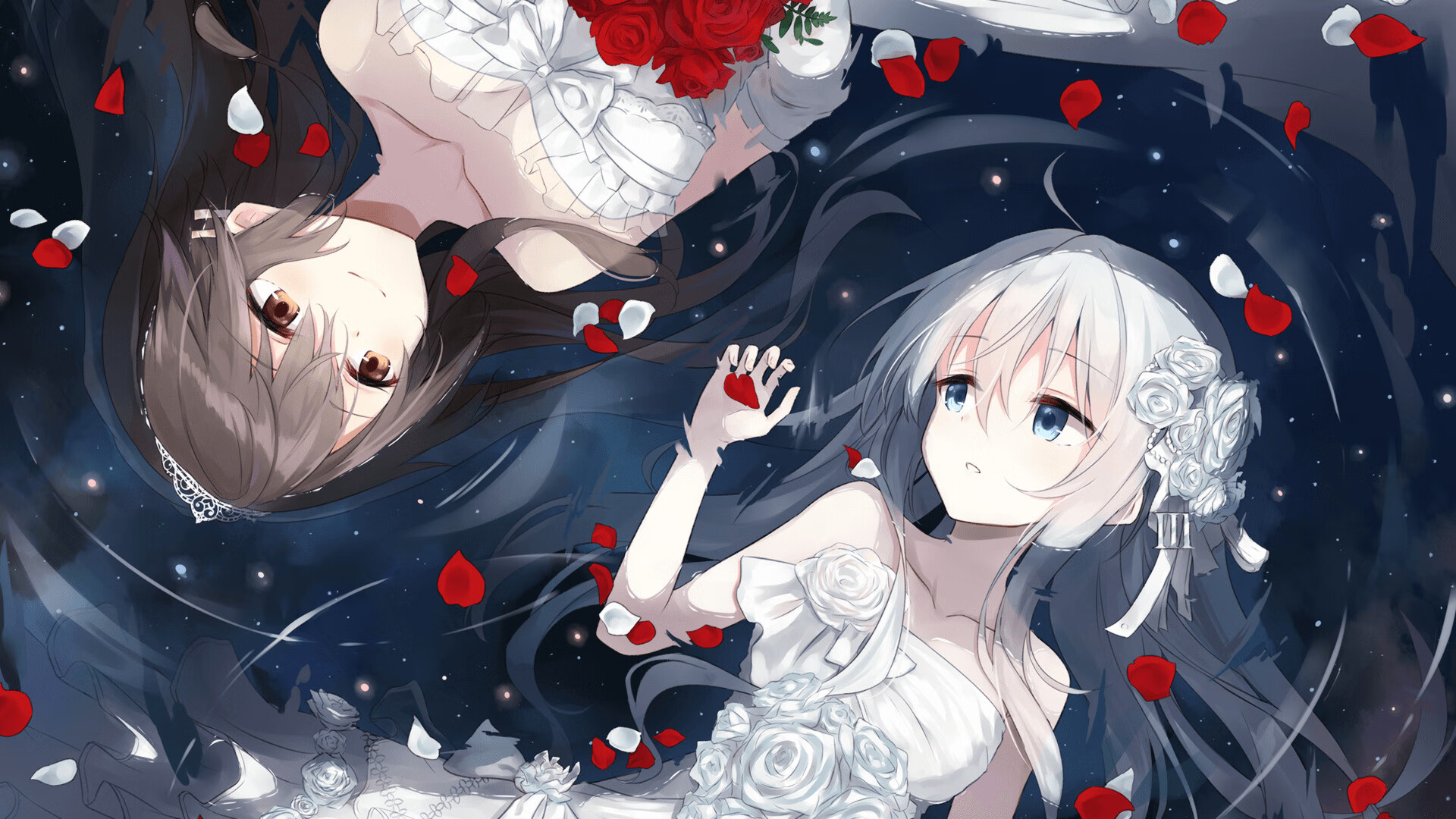 宿命复仇,小贾伦的夜之觉醒,太阳逆转尼克斯的史诗之战