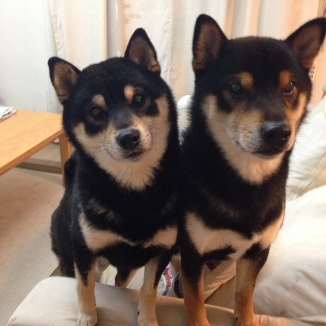 缺席的审判官,当杜兰特字母哥的对决被詹姆斯幽灵笼罩