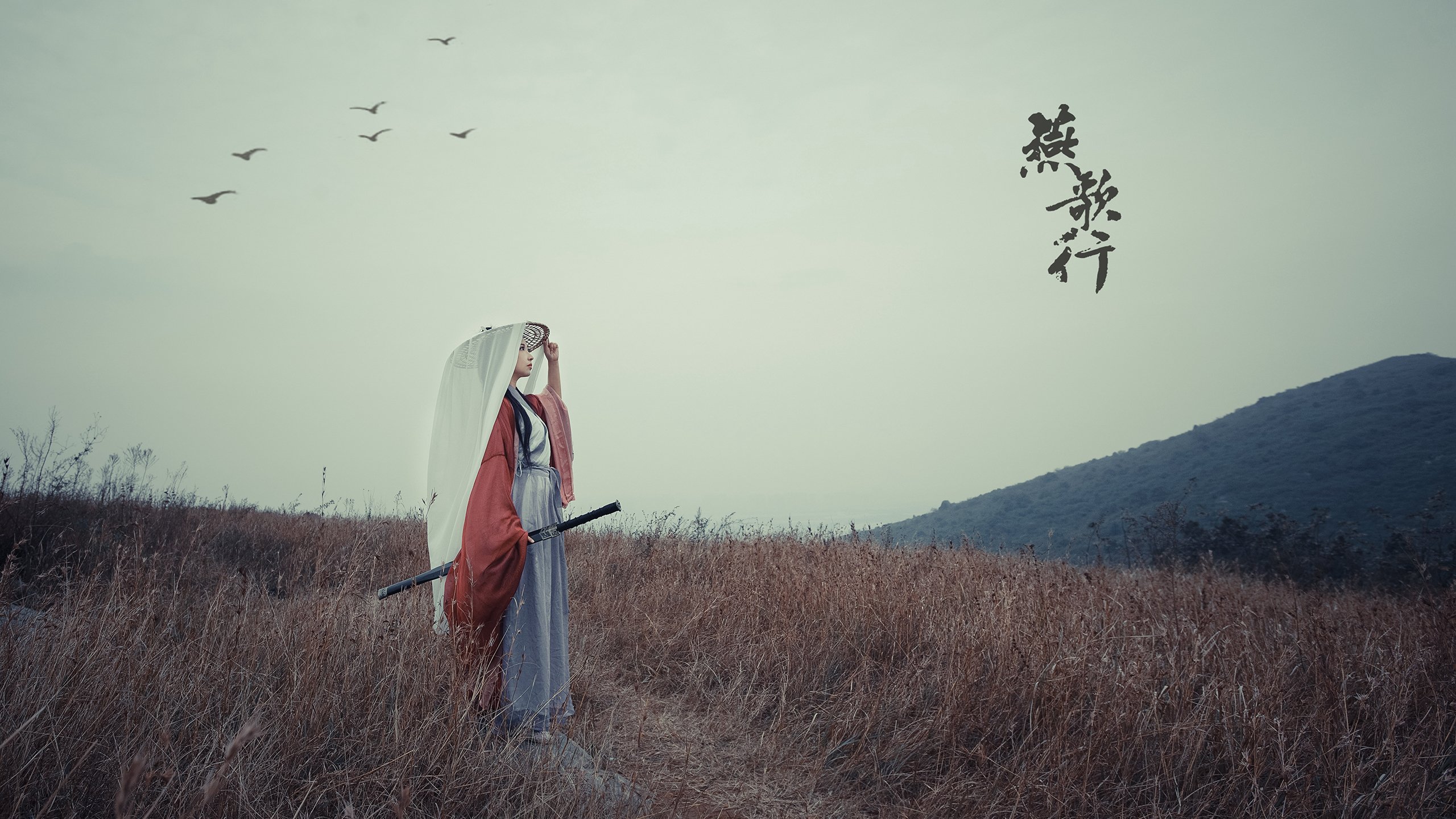 绝境中的破晓之光，布克导演掘金惊天逆转爵士