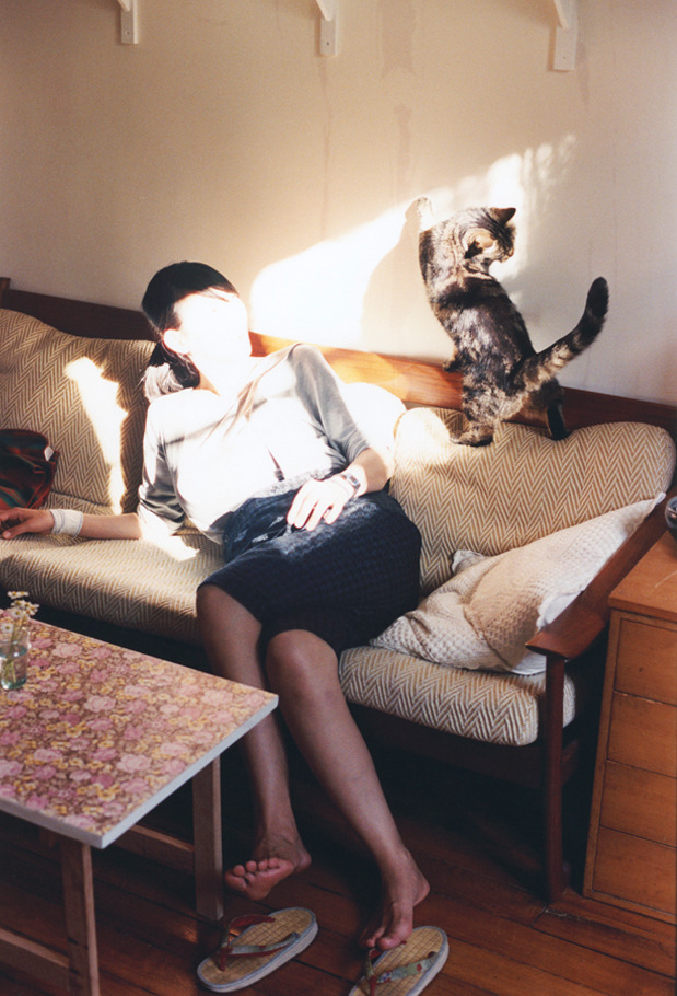 北境孤狼与卫冕之师，福克斯的爆发与勇士的爵士扫荡战