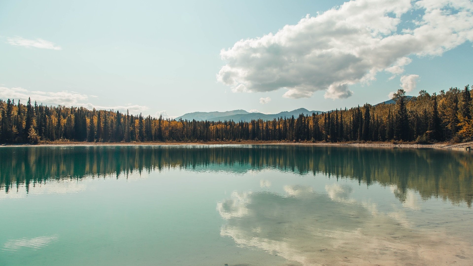 掌控力的交响，从霍勒迪的欧冠之夜到灰熊的战术闪电