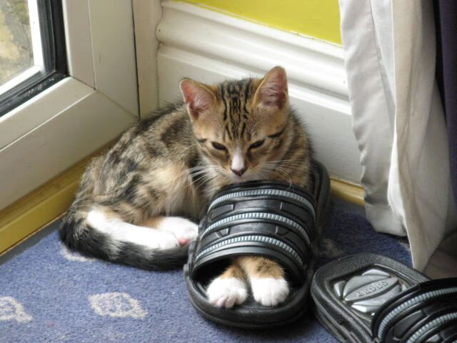 南十字星的救赎，当莱比锡红牛遇上智利，萨拉赫的星空下独舞